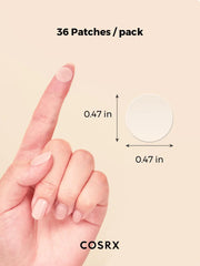 Master Patch Basic [36ea]